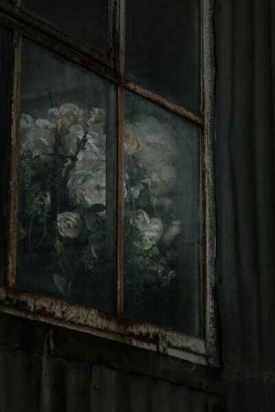 photo-1775138386053-5766c8c10e85